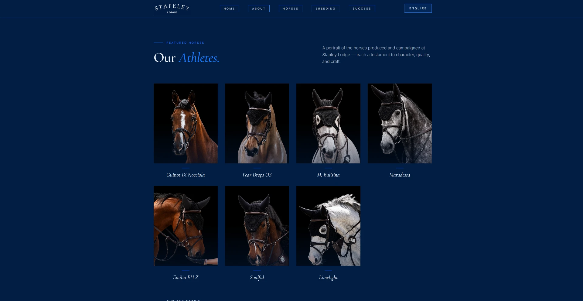 Stapley Lodge — Featured horses
